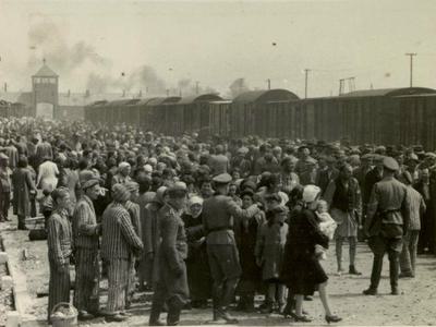 Des hommes, des femmes et des enfants descendent des wagons à Auschwitz-Birkenau. Oświęcim (Pologne), 1944.
Archives photographiques de Yad Vashem, Jérusalem, 14DO9.